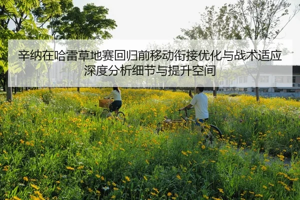 辛纳在哈雷草地赛回归前移动衔接优化与战术适应深度分析细节与提升空间